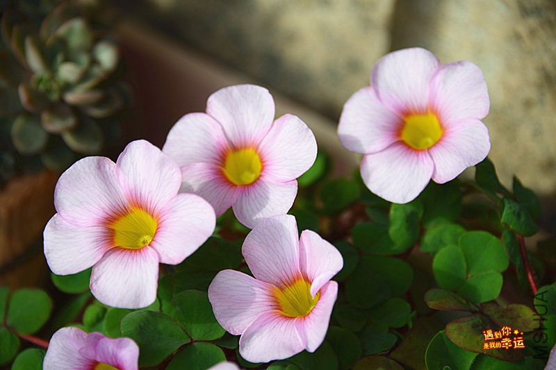 ��Ƭ 093_����.jpg