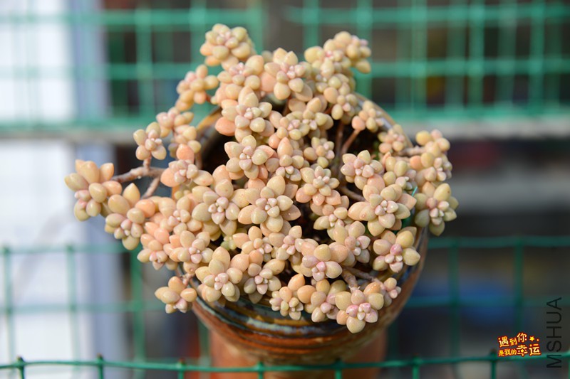 ��Ƭ 174_����.jpg