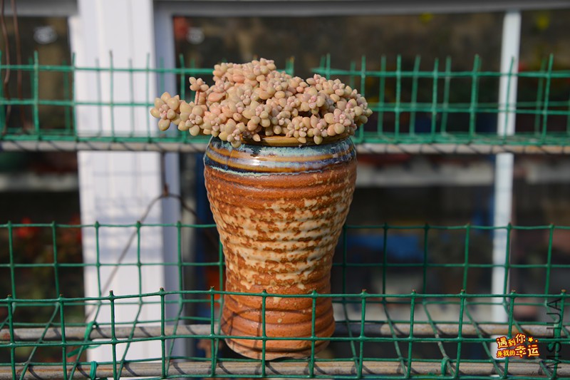 ��Ƭ 170_����.jpg