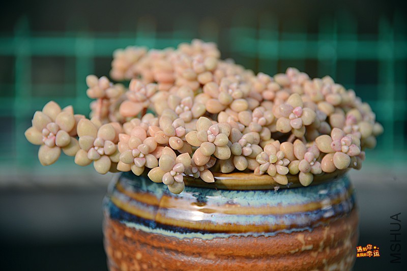 ��Ƭ 172_����.jpg