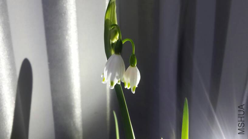 201000b4c0cwpvvb6p07ww.jpg