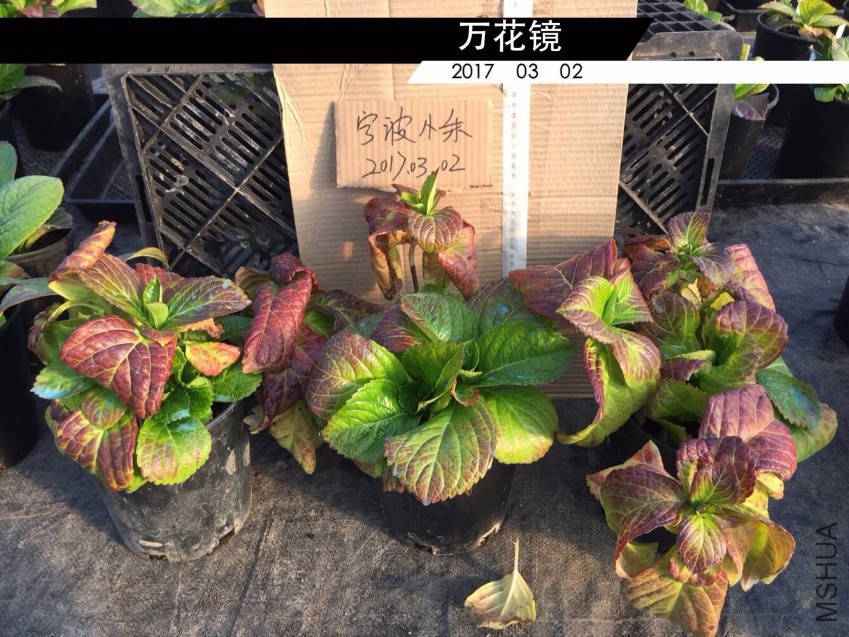 QQͼƬ20170302195506.jpg