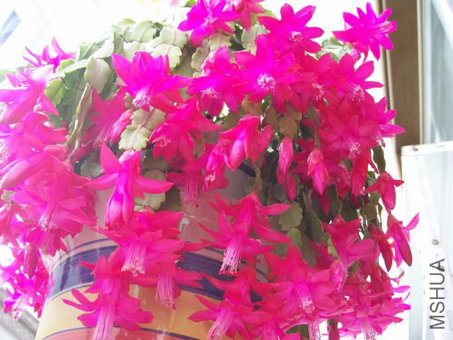 100_6098.JPG