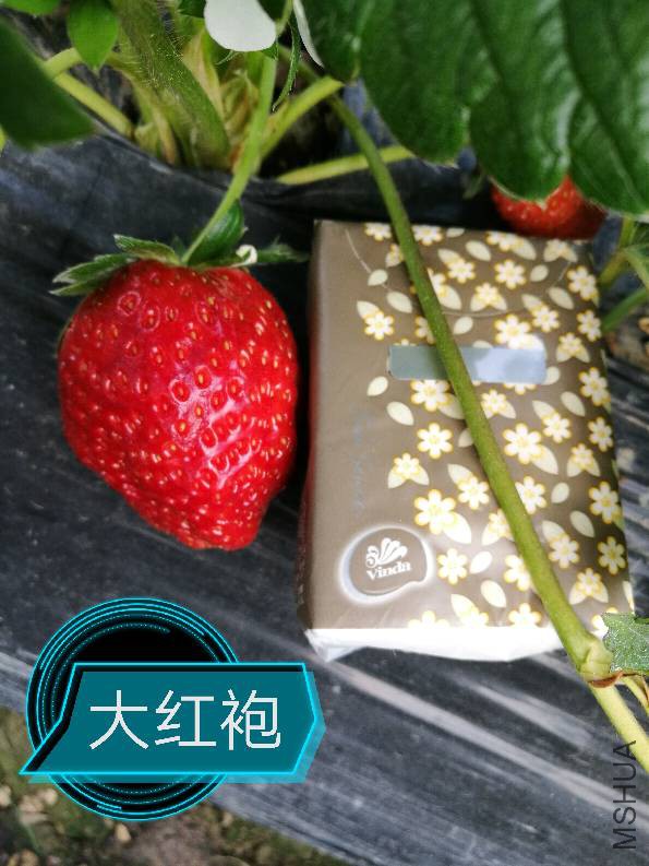173144qi50axys0l20980l.jpg