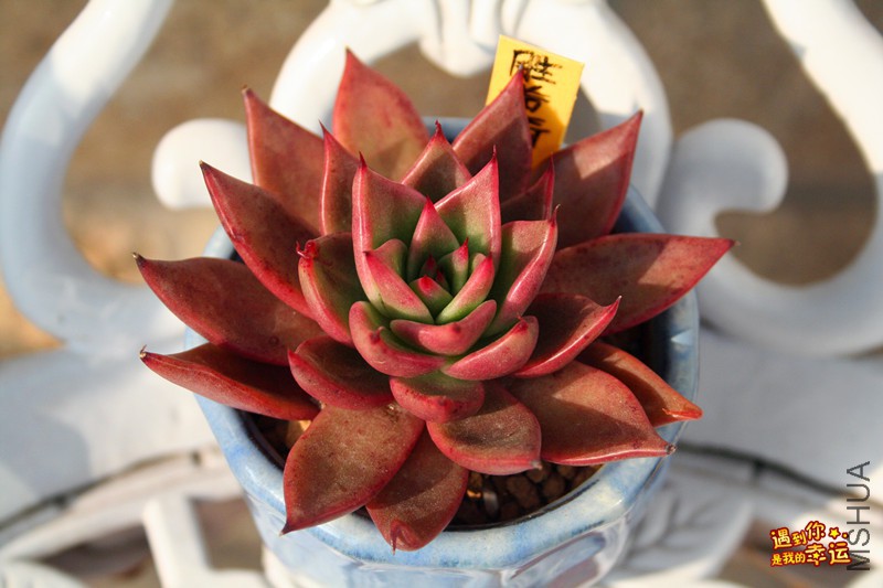 ��Ƭ 242_����.jpg