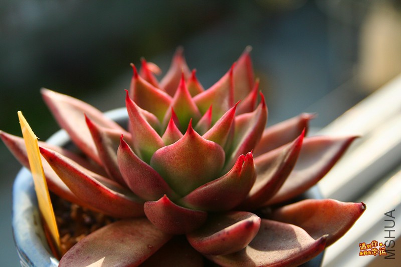 ��Ƭ 244_����.jpg