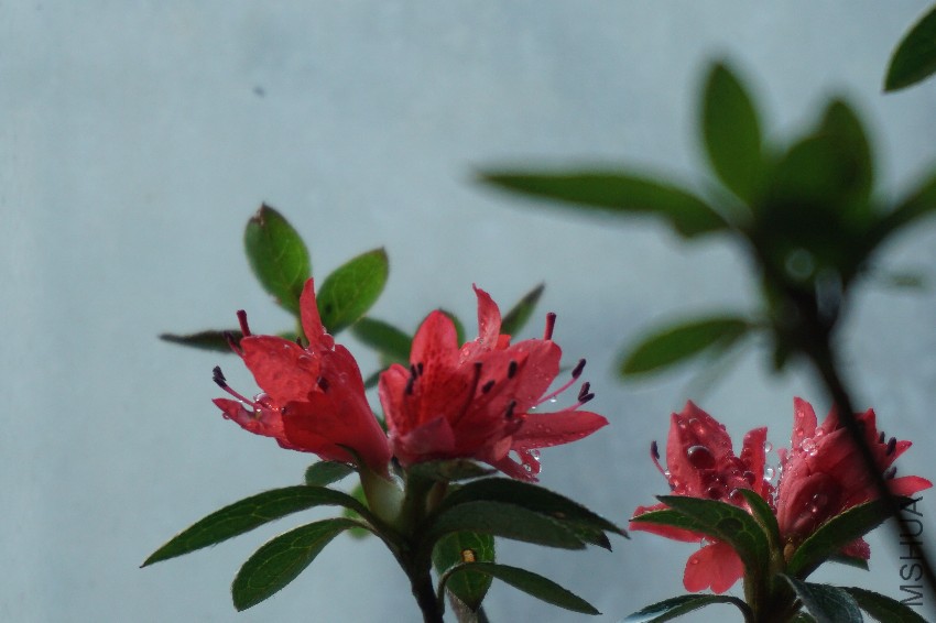 DSC00112.JPG