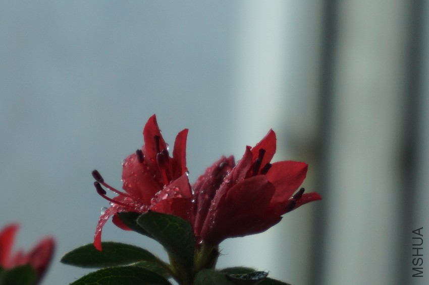 DSC00113.JPG