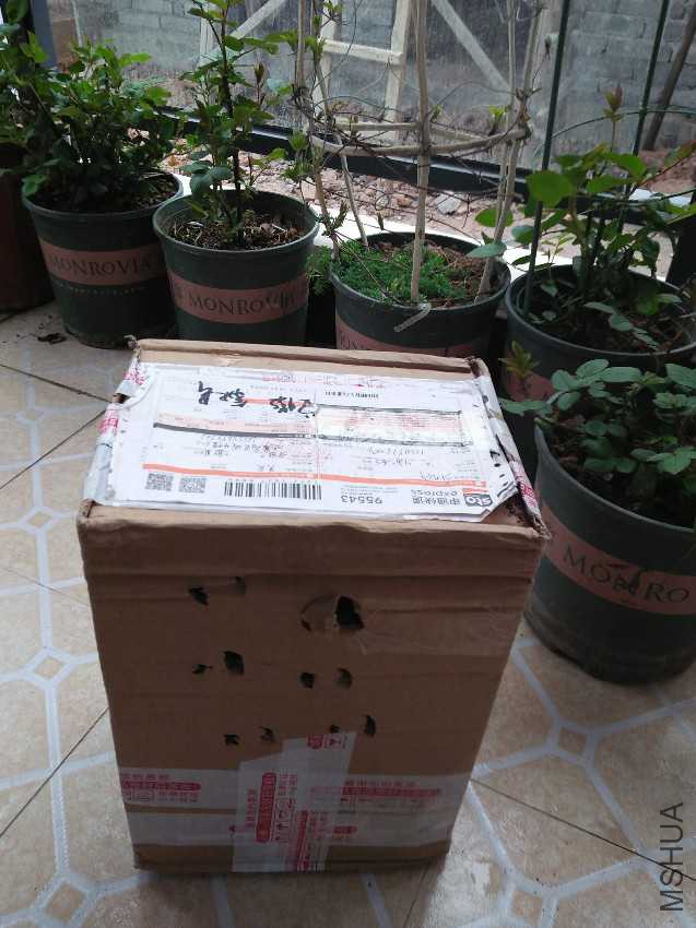IMG20170304155024.jpg
