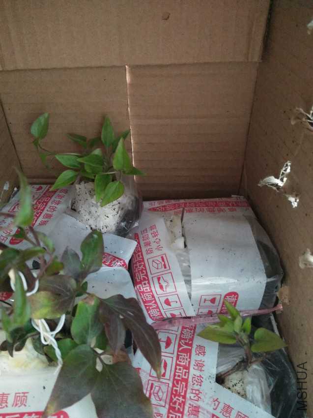 IMG20170304155337.jpg