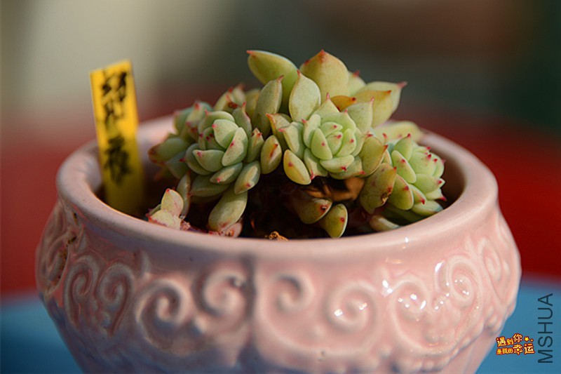 ��Ƭ 361_����.jpg