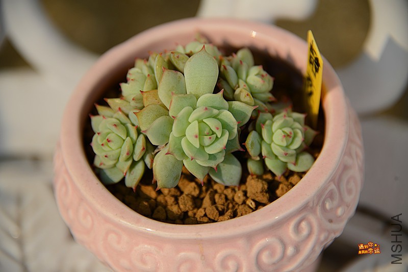 ��Ƭ 360_����.jpg