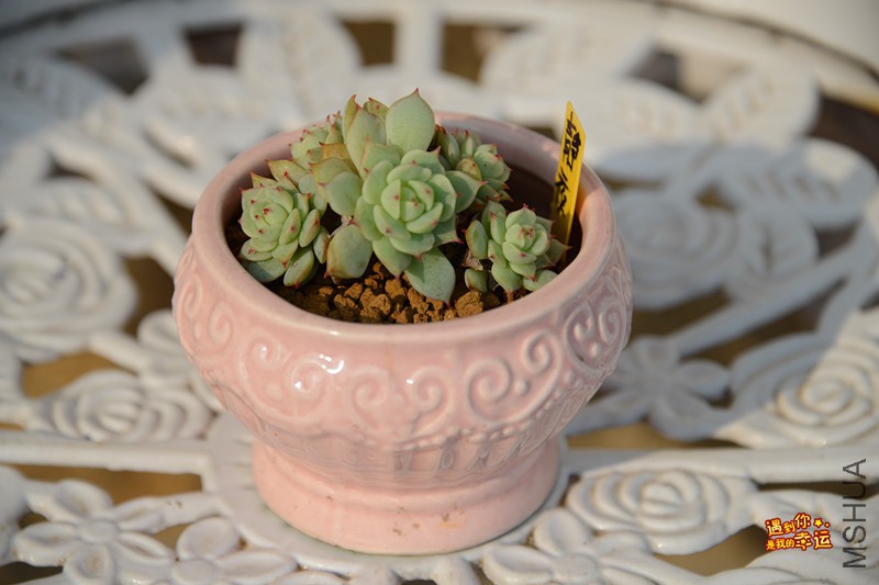 ��Ƭ 357_����.jpg