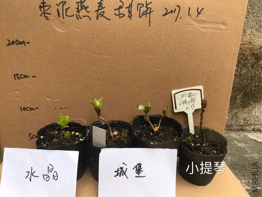 QQͼƬ20170304185536.jpg