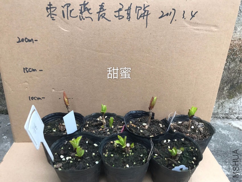 QQͼƬ20170304185532.jpg