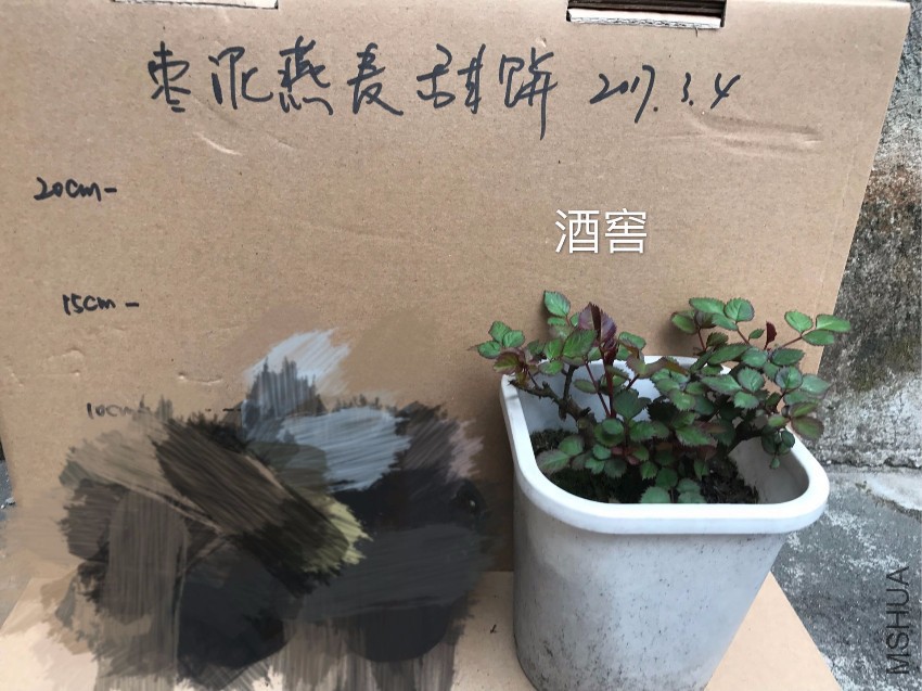 QQͼƬ20170304185529.jpg