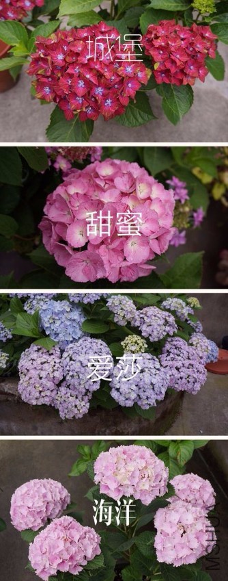 QQͼƬ20161231192534.jpg