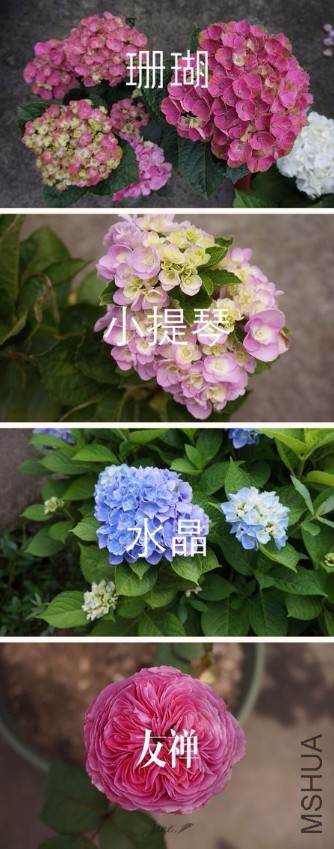 QQͼƬ20161231192530.jpg