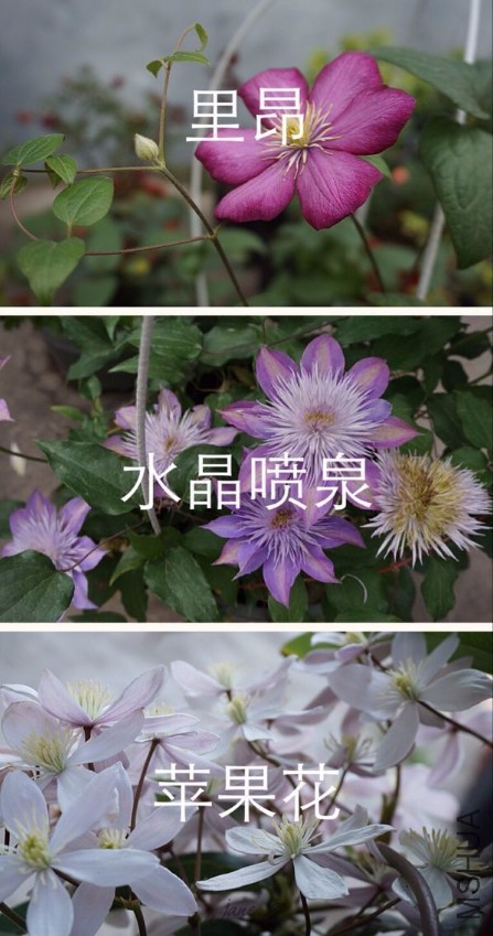QQͼƬ20170304185524.jpg