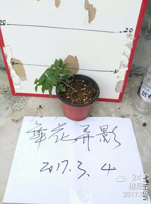 2090873775.jpg