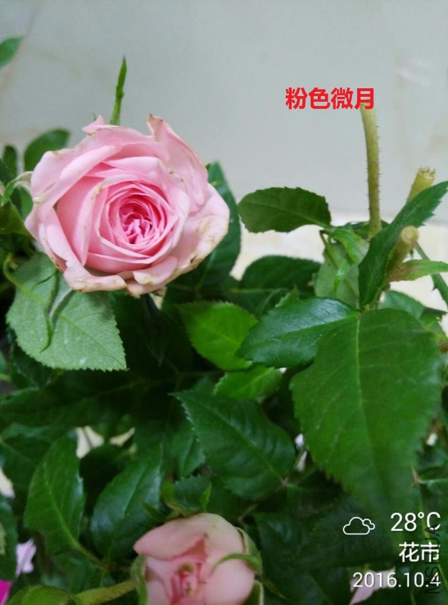 534994557.jpg