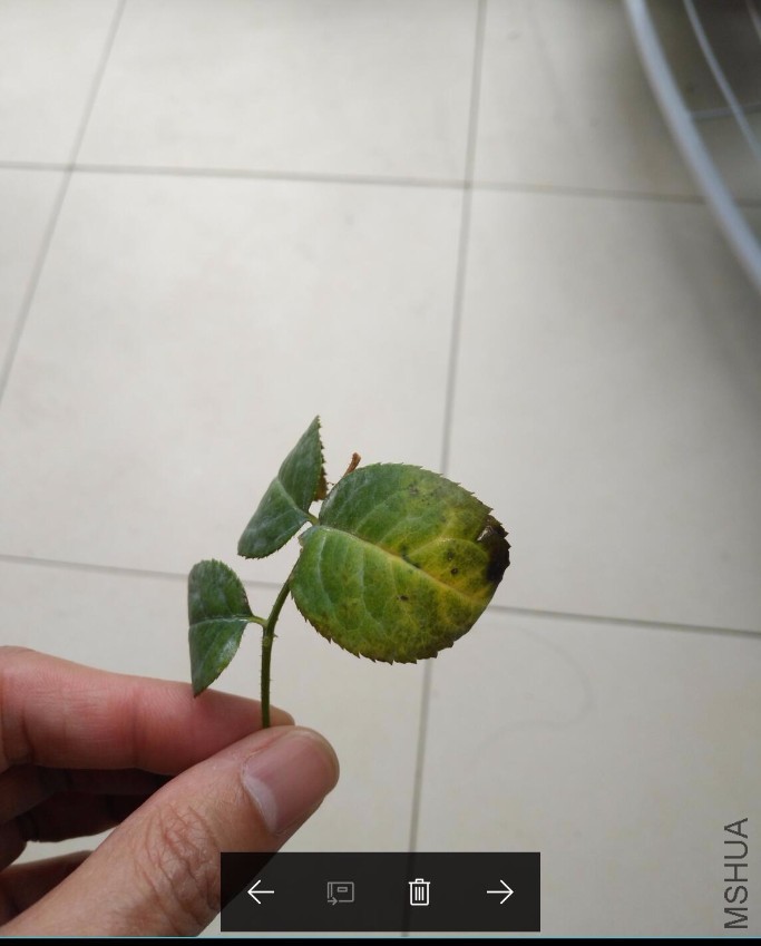 QQ��ͼ20170305134925.jpg