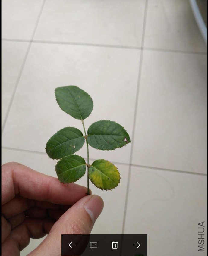 QQ��ͼ20170305134911.jpg