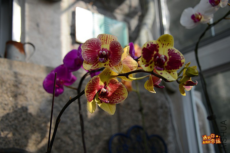 ��Ƭ 042_����.jpg