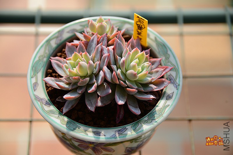 ��Ƭ 124_����.jpg