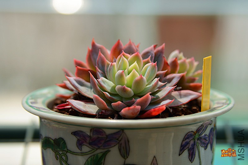 ��Ƭ 129_����.jpg