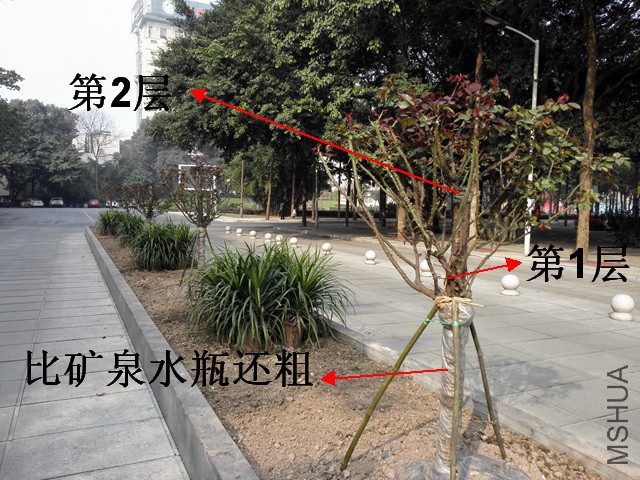 A06.jpg