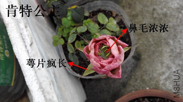 B03.jpg