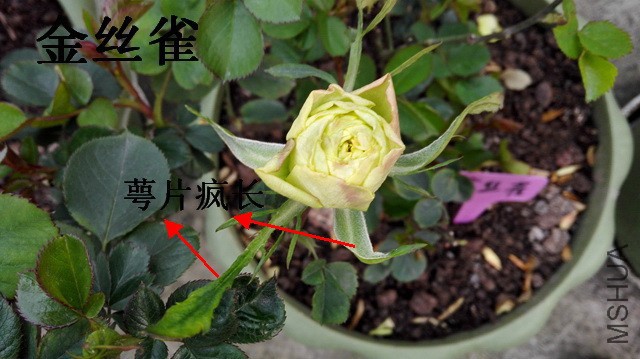 B02.jpg