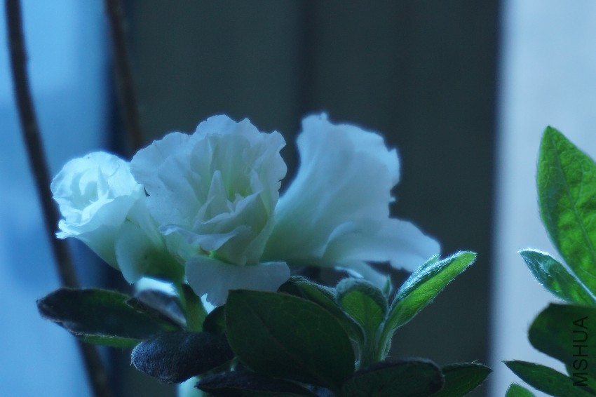 DSC00104.JPG