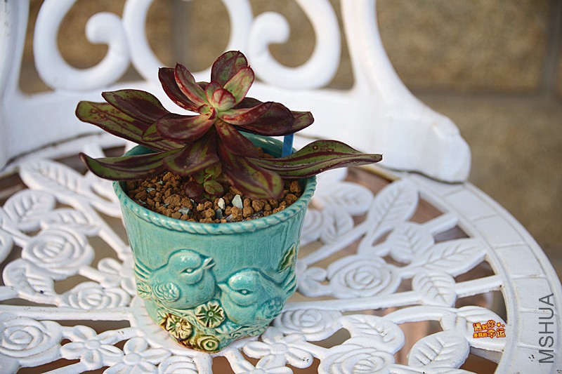 ��Ƭ 607_����.jpg