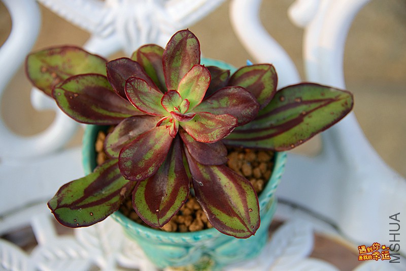 ��Ƭ 610_����.jpg