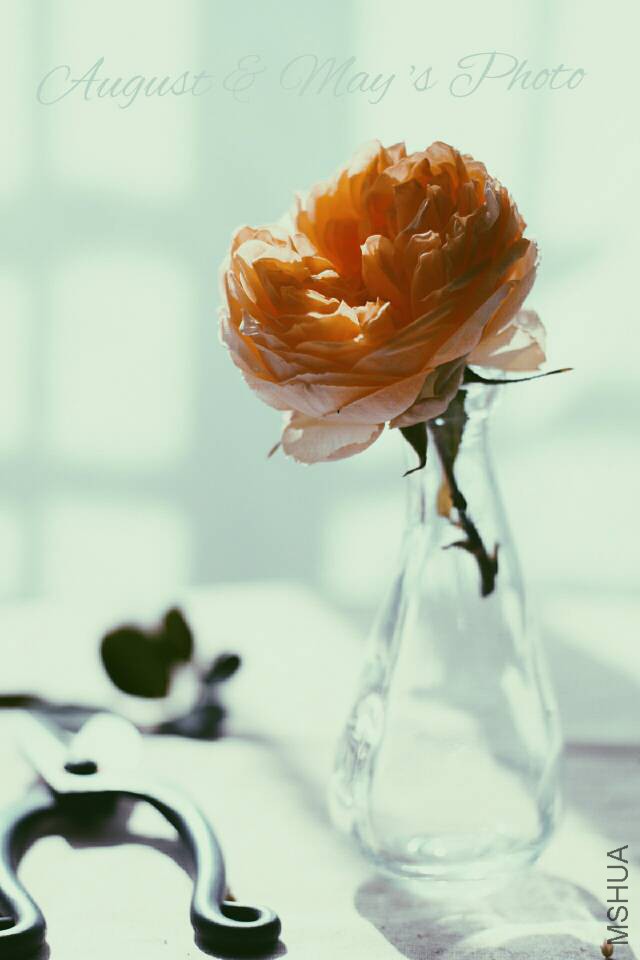 204753o6f12cl8c26ev0ex.jpg