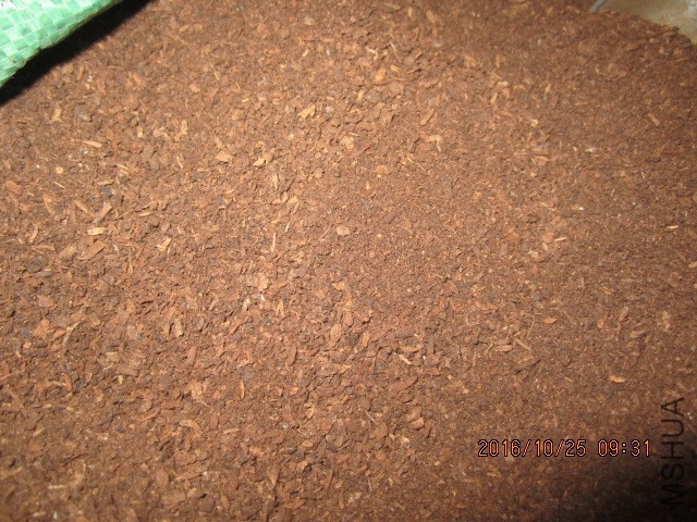 IMG_6975.JPG
