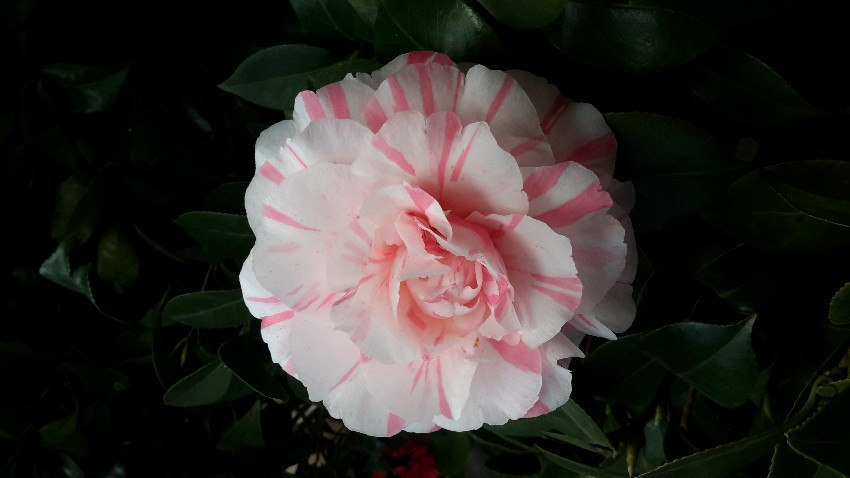 20170306_073854.jpg