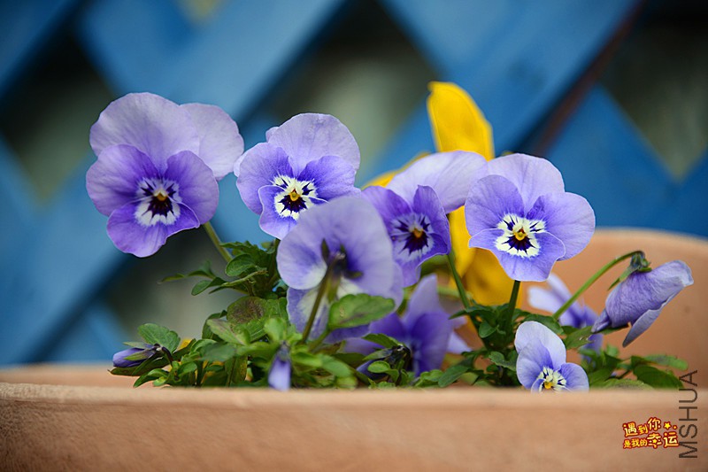 ��Ƭ 143_����.jpg