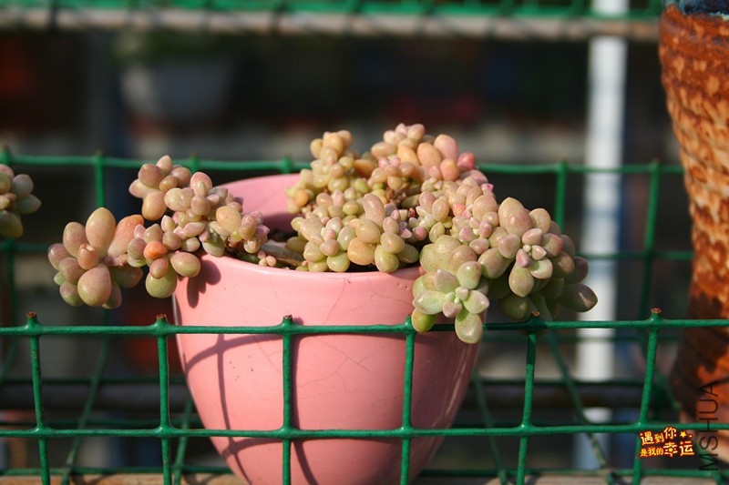 ��Ƭ 200_����.jpg