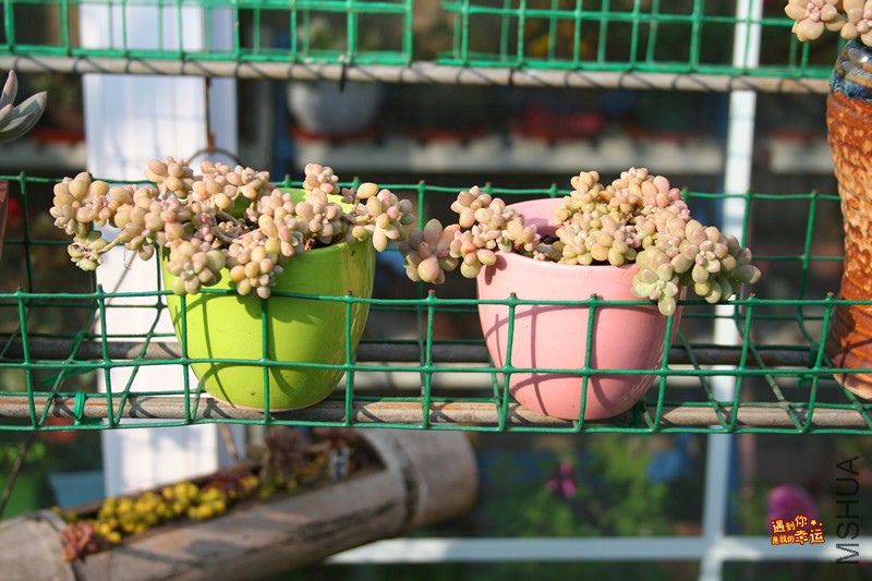 ��Ƭ 196_����.jpg