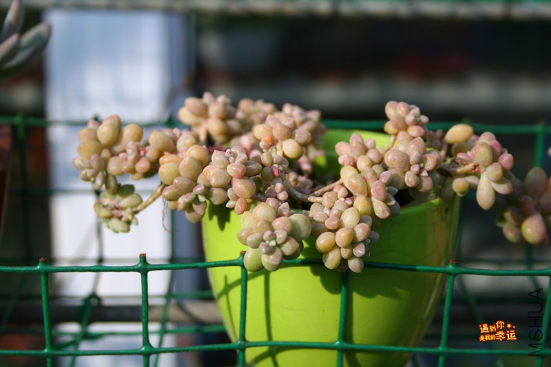 ��Ƭ 199_����.jpg