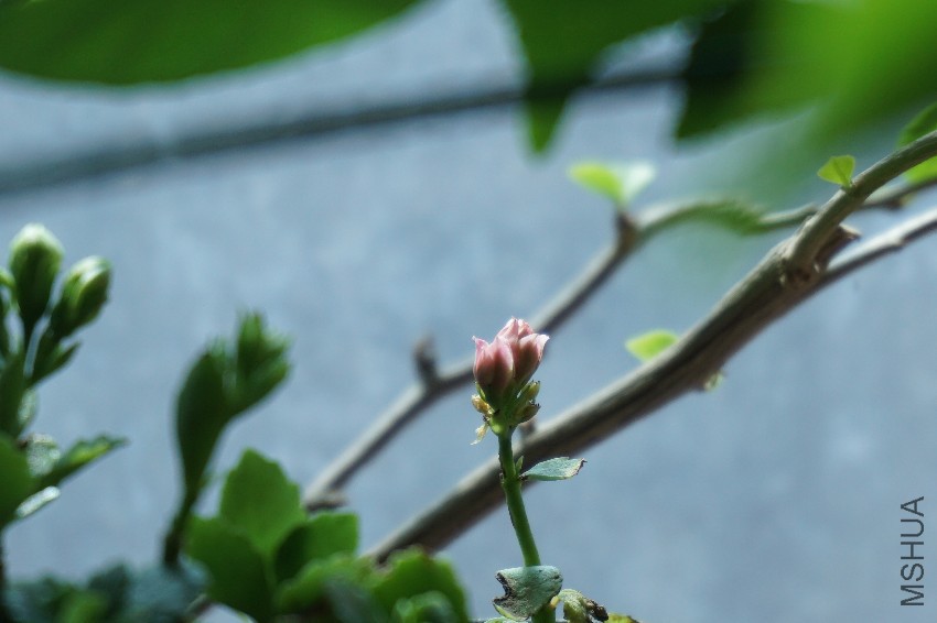 DSC00149.JPG