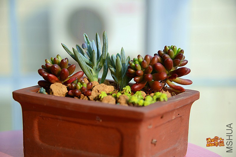 ��Ƭ 467_����.jpg