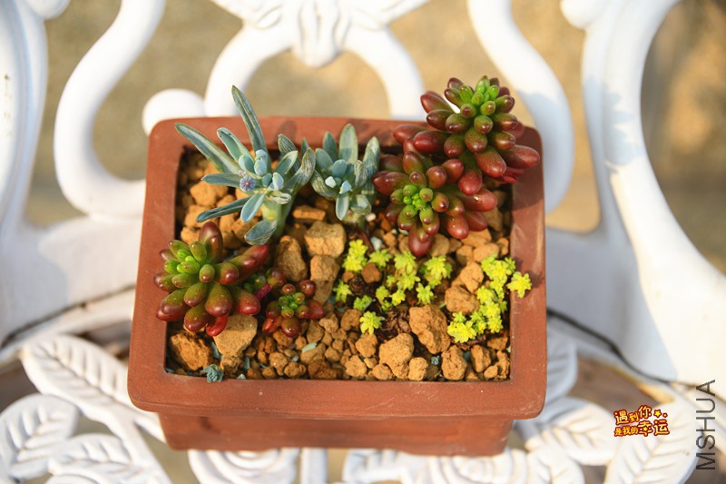 ��Ƭ 464_����.jpg