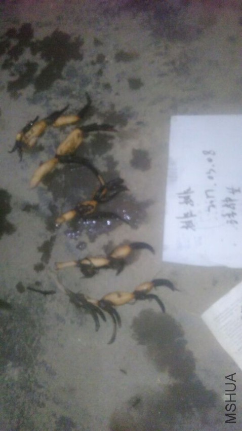 QQͼƬ20170308222817.jpg