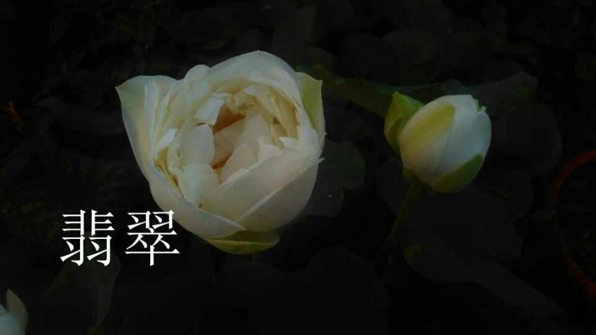 QQͼƬ20170308224342.jpg