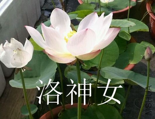 QQͼƬ20170308225005.jpg