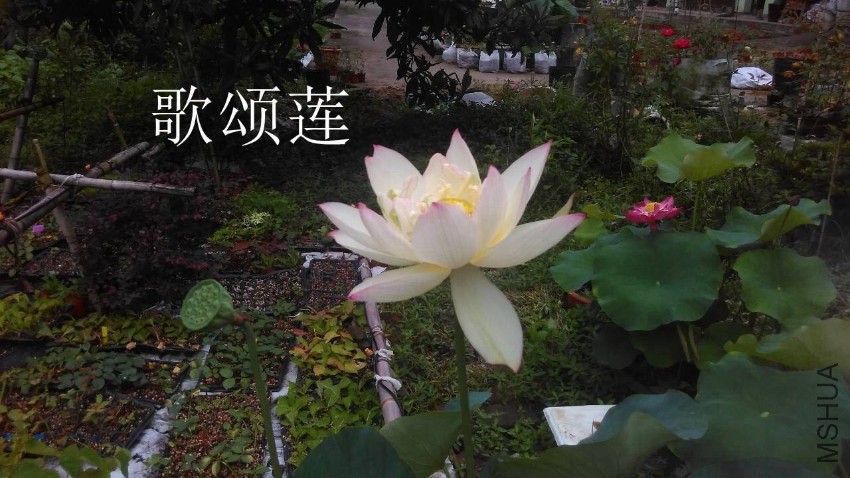 QQͼƬ20170308225834.jpg